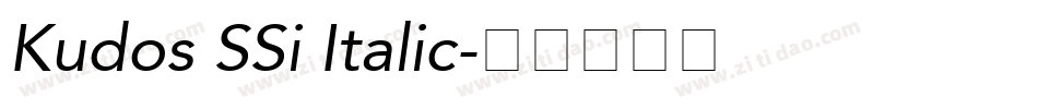 Kudos SSi Italic字体转换